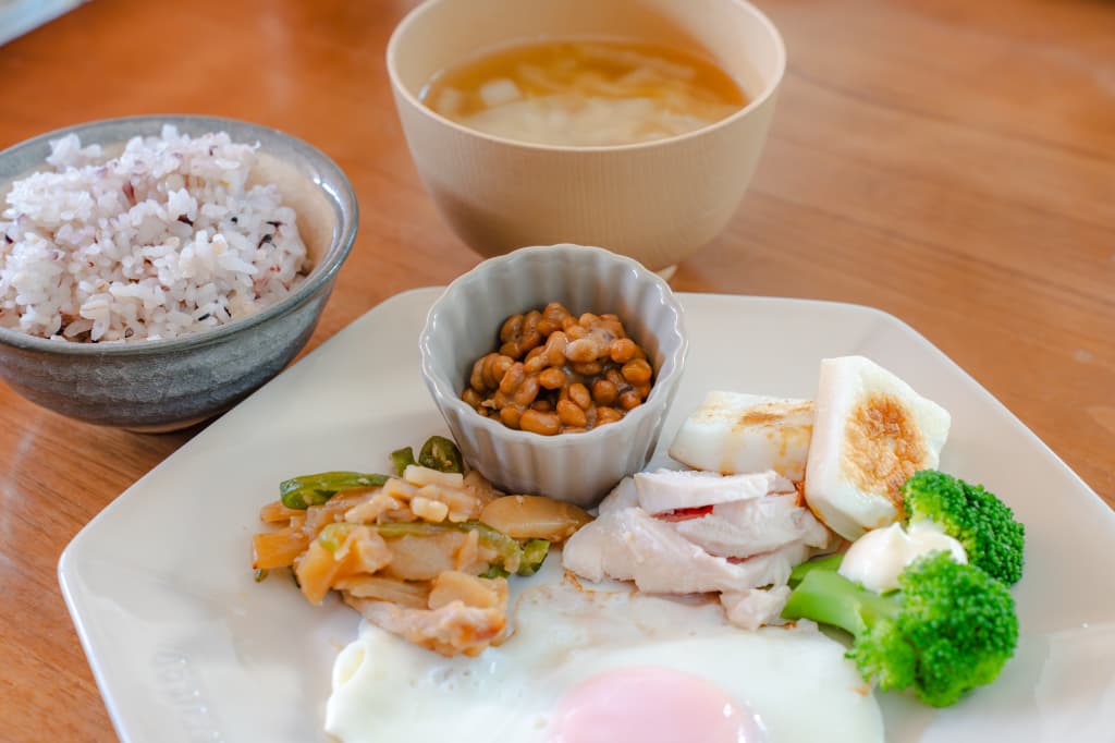 宅食 高タンパク